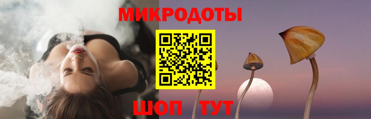 Коркино  Галлюциногенные грибы прущие грибы  Вход с VPN  сколько стоит  Галлюциногенные грибы Psilocybe 